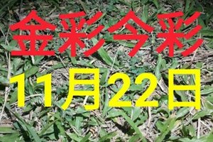 $金彩今彩$ 今彩539--11月22日加減版路號碼大公開