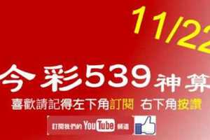 [今彩539神算] 11月22日 4支 單號定位 雙號 拖牌