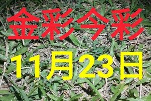 $金彩今彩$ 今彩539--11月23日加減版路號碼大公開