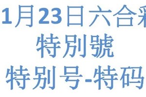 六合11月23日六合彩特別號參考-特别号-特码参考