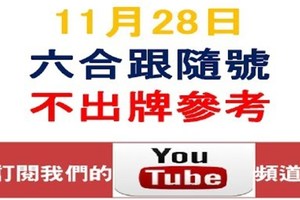 六合跟隨號-11月28日六合彩不出牌參考