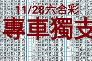 11/28六合彩專車獨支精華版