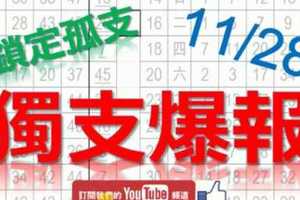 11月28日 六合彩爆報 獨支爆報 鎖定孤支 版路