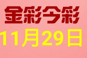 $金彩今彩$ 今彩539--11月29日連續版路號碼揭密