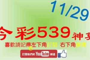 [今彩539神算] 11月29日 5支 單號定位 雙號 拖牌