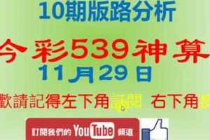 [今彩539神算] 11月29日 2支 10期版路分析