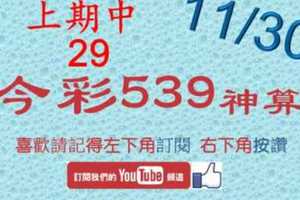 [今彩539神算] 11月30日 上期中29 5支 單號定位 雙號 拖牌