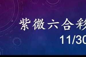 紫微六合彩 11月30日 單號定位,雙號拖牌版路獨家大公開