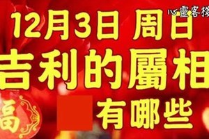 12月3日 週日 十月初十六，吉利的屬相有哪些？