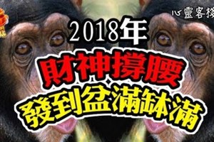 2018年財神撐腰，發到盆滿缽滿的三大生肖