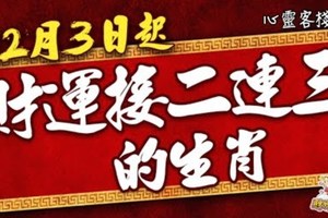 12月3日起， 財運接二連三的生肖