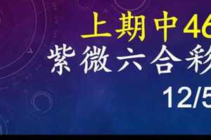 紫微六合彩 12月5日 上期中46 單號定位,雙號拖牌版路獨家大公開