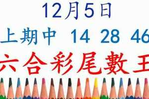 六合彩尾數王 12月5日 上期中 14 28 46 版路預測版本2 準8進9 不斷版