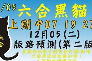 再中三星[上期中 07 19 27]六合彩黑貓(12月5號)六合彩預測版路(第二版)