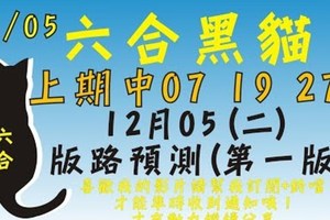 再中三星[上期中 07 19 27]六合彩黑貓(12月5號)六合彩預測版路(第一版)