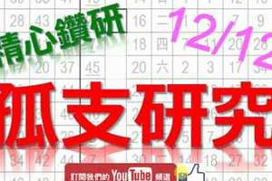 12月12日 六合彩研究院 孤支研究 精心鑽研 版路