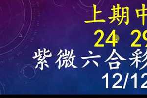 紫微六合彩 12月12日 上期中24 29 單號定位,雙號拖牌版路獨家大公開