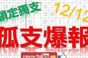 12月12日 上期中特別號30 六合彩爆報 獨支爆報 鎖定孤支 版路