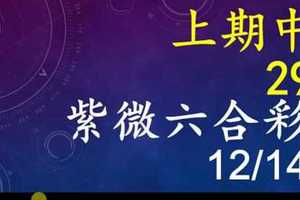 紫微六合彩 12月14日 上期中29 單號定位,雙號拖牌版路獨家大公開