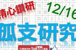 12月16日 六合彩研究院 孤支研究 精心鑽研 版路