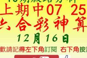 [六合彩神算] 12月16日 上期中07 25 3支 10期版路分析