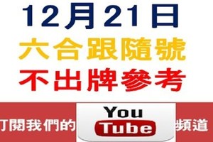 六合跟隨號-12月21日六合彩不出牌參考