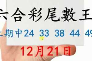 六合彩尾數王 12月21日 上期中24 33 38 44 49 版路預測版本1 準11進12 不斷版