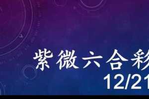 紫微六合彩 12月21日 單號定位,雙號拖牌版路獨家大公開