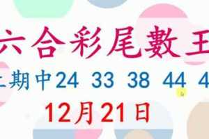 六合彩尾數王 12月21日 上期中24 33 38 44 49 版路預測版本2 準10進11 不斷版