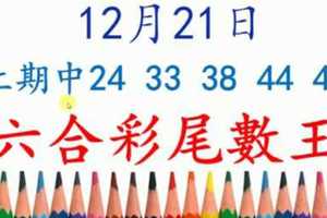 六合彩尾數王 12月21日 上期中24 33 38 44 49 版路預測版本3 準9進10 不斷版