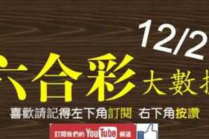 六合彩大數據 12月21日 4支同開版路