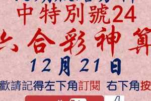 [六合彩神算] 12月21日 上期中特別號24 3支 10期版路分析