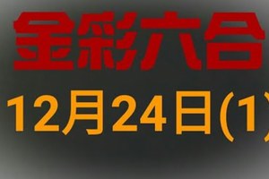 ◆金彩六合◆六合彩 12月24日連開孤支版路 （1）