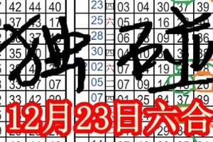 12月23日六合發發發青龍之一氣化三千