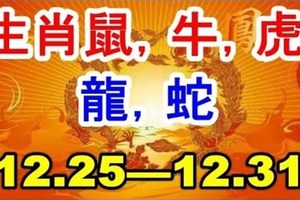 生肖鼠、牛、虎、兔、龍、蛇下周（12 25—12 31）運勢分析！接囍接囍