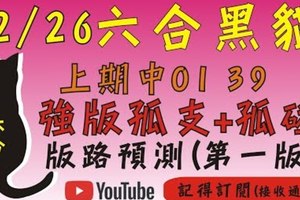 [孤支+孤碰][上期中01 39/連準10期]六合彩黑貓(12月26號)六合彩預測版路(第一版)