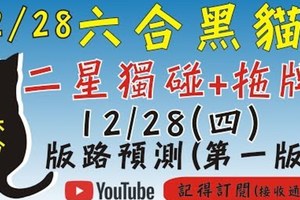 六合彩黑貓(12月28號)六合彩預測版路(第一版)