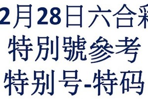 六合12月28日六合彩特別號參考-特别号-特码参考