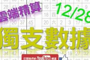 六合彩大數據 12月28日 獨支數據 雲端精算 版路