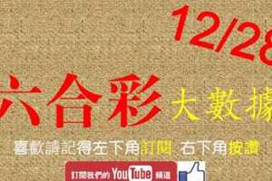 六合彩大數據 12月28日 完美4星大數據版路公開