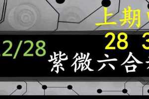 紫微六合彩 12月28日 上期中28 30 紫微上天指示正規抓牌版路