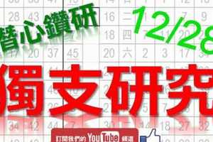 12月28日 六合彩研究院 獨支研究 潛心鑽研 版路