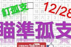 12月28日 六合彩研究院 瞄準孤支 釘孤支 版路