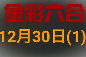 ◆金彩六合◆六合彩 12月30日連開孤支版路 （1）