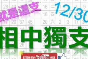 12月30日 六合彩爆報 相中獨支 就是這支 不斷版路