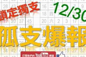 12月30日 六合彩爆報 孤支爆報 鎖定獨支 版路