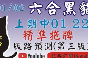 精準拖牌[上期中 01 22]六合彩黑貓(1月2號)六合彩預測版路(第三版)