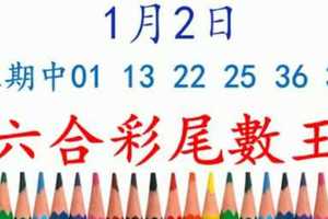 六合彩尾數王 1月2日 上期中01 13 22 25 36 37 版路預測版本3 準12進13 不斷版