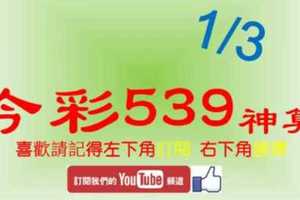 [今彩539神算] 1月3日 5支 單號定位 雙號 拖牌
