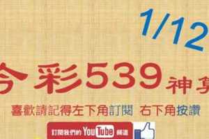 [今彩539神算] 1月12日 5支 單號定位 雙號 拖牌